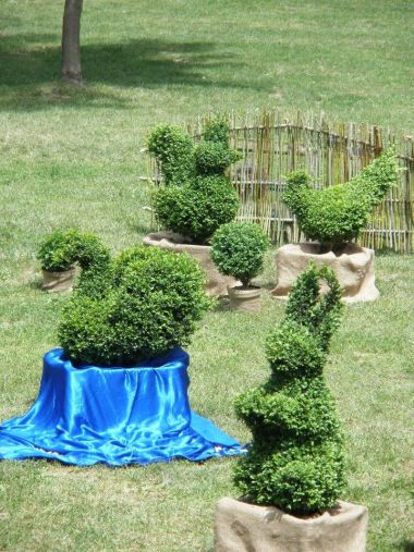 topiary5.jpg