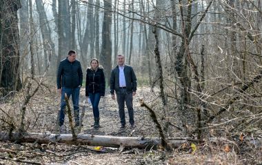 040322_Dravska_park_suma _11.jpg
