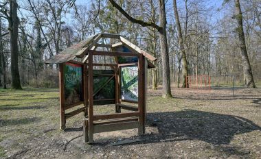 040322_Dravska_park_suma _2.jpg