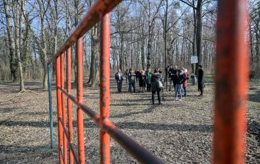 040322_Dravska_park_suma _7.jpg