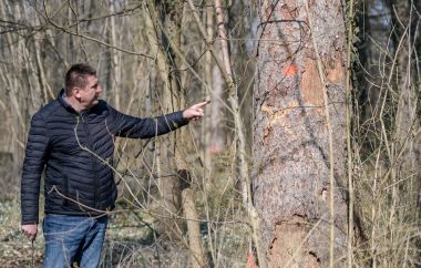 040322_Dravska_park_suma _9.jpg