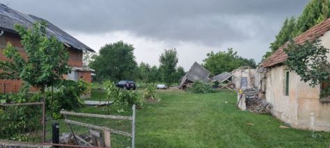 010821_hrzenica_4.jpg