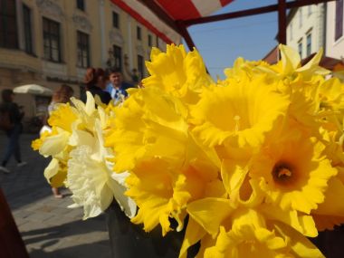 260322_dan narcisa_16.JPG