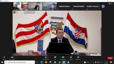 Cerli_panel_pandemija 5.png