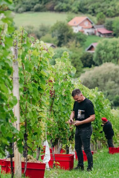 7Q4A1200.jpg