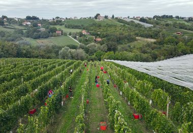 DJI_0346.jpg