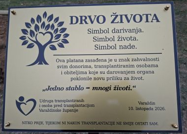 101026_drvo ivota transplantirani_1 5.jpg