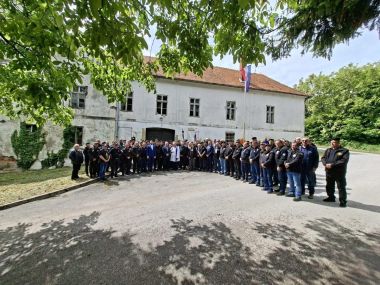 3_Tigrovi 1.jpg
