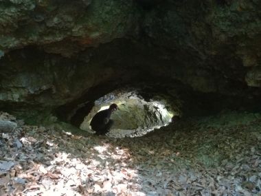 PILJE_JAME_Toplika pilja Varadinsko-topliko gorje.jpg