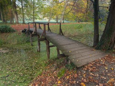 opeka_arboretum 4.jpg