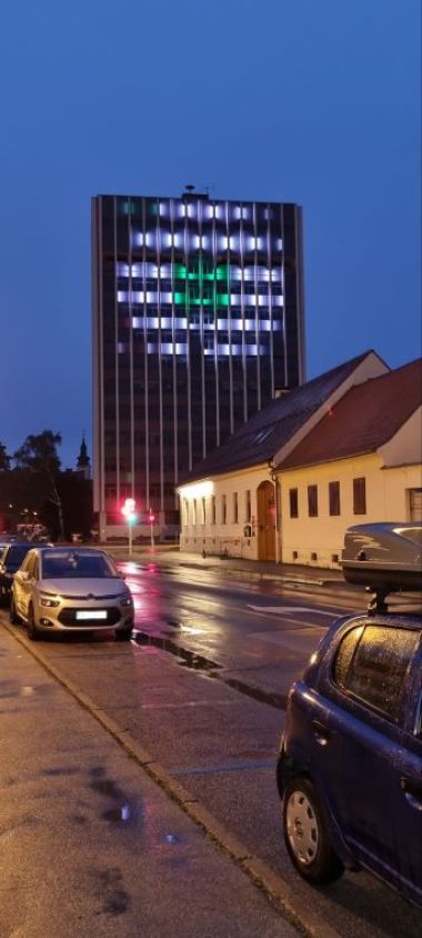 Srebrenicki cvijet_ 2.jpg