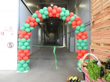 o_1g438ho5d102r1dvlbhj1f0s1bho.jpeg