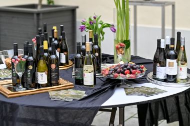 vina_varazdinska_zupanija_decanter 2.jpg