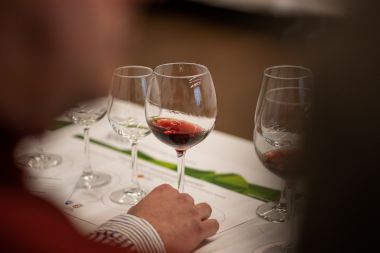 vina_varazdinska_zupanija_decanter 3.jpg