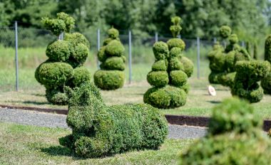 Topiary_park 55.jpg