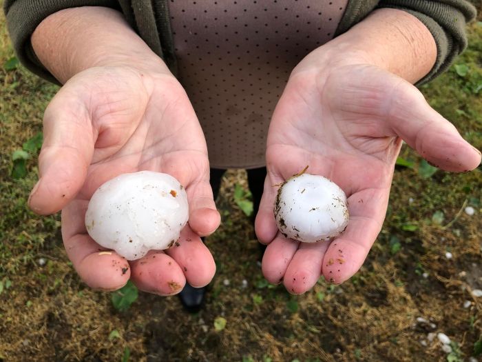 Stra&scaron;ne posljedice nevremena u Velikom Bukovcu, Stričak: Ovo nevrijeme uni&scaron;tilo je pola hrvatske cvjećarske proizvodnje