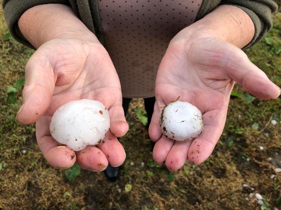 Stra&scaron;ne posljedice nevremena u Velikom Bukovcu, Stričak: Ovo nevrijeme uni&scaron;tilo je pola hrvatske cvjećarske proizvodnje
