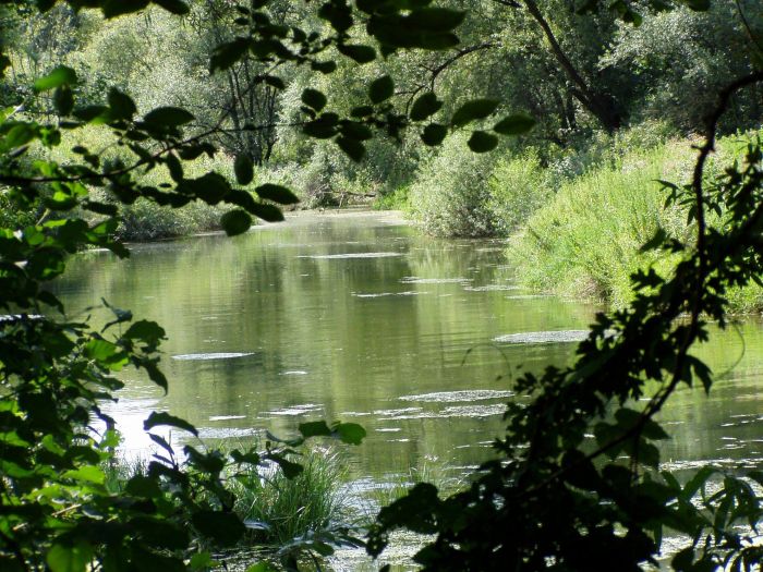 Godi&scaron;njica je progla&scaron;enja Petodržavnog UNESCO rezervata biosfere Mura &ndash; Drava - Dunav