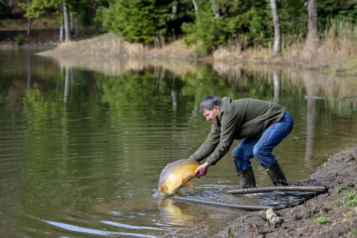 Trako&scaron;ćansko jezero bogatije za 4,2 tone ribljeg fonda