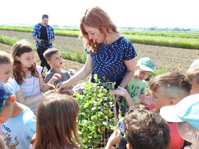 Pred&scaron;kolci iz Varaždina i Vidovca sadili sadnice Varaždinskog zelja, Marija Cafuk: Neka djeca prvi put su svojim rukama drže zemlju