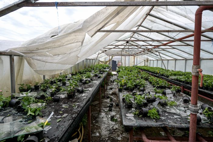 Progla&scaron;ena prirodna nepogoda od tuče za dva grada i osam općina na području Varaždinske županije