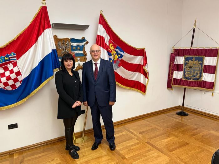 U Županijskoj palači održano predavanje o demencijama, doc. prim. dr. sc. Kiđemet-Piskač: Starenje nije jednako demencija